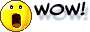 c029 c029