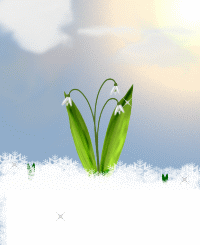 fr029 fr029