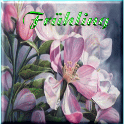 fr049 fr049