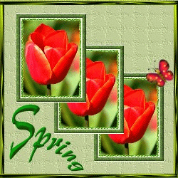 fr066 fr066