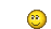 51 51