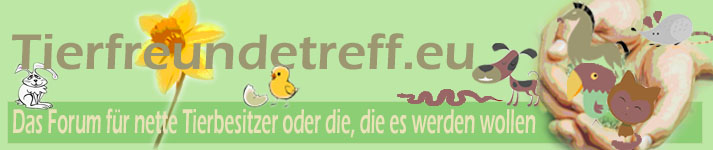 Tierfreundetreff